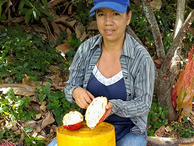Cacao Arbeláez - Cundinamarca