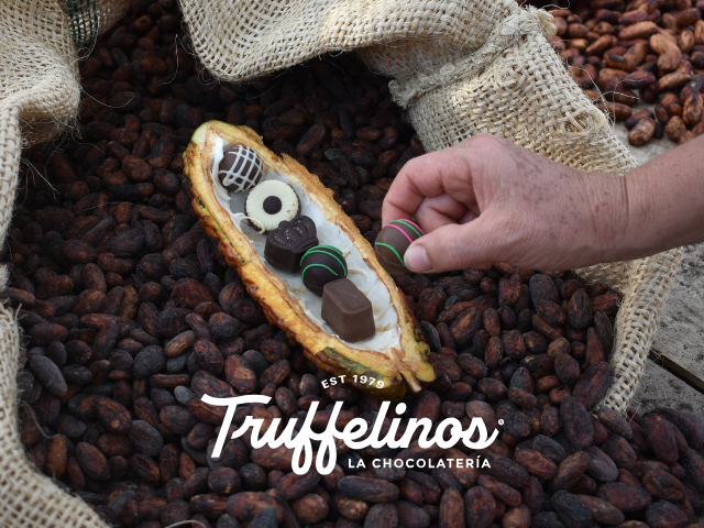 Chocolate auténtico Si. Sucedáneos No - Truffelinos - Chocolates artesanales - Bogotá