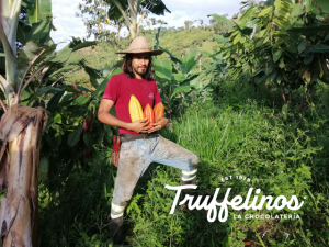 Lee más sobre el artículo Orgullo de la tierra