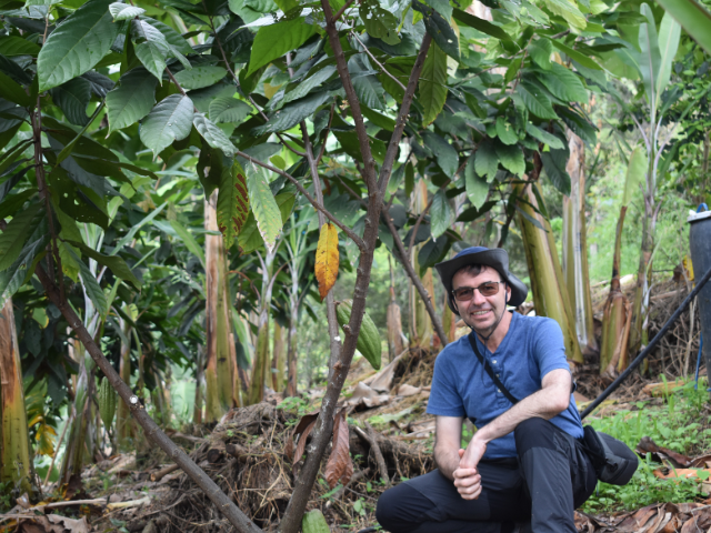 Farm to Heart - Truffelinos - La Querencia - Arboles maduros